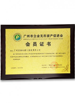 廣州市企業(yè)無(wú)形資產(chǎn)促進(jìn)會(huì)